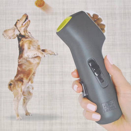 Pet Interactive Training