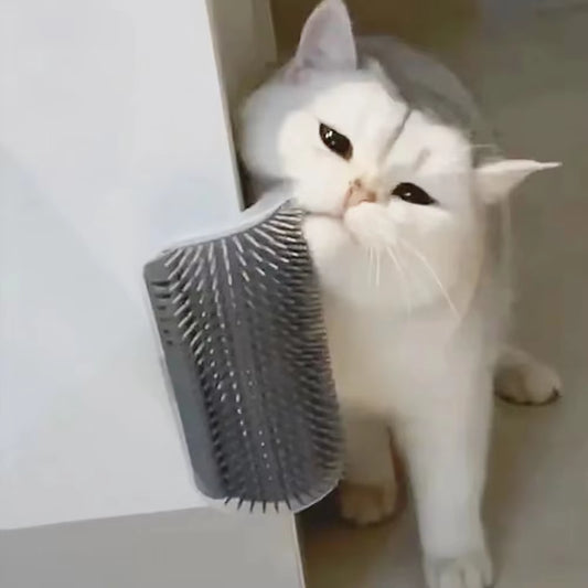 Cat Self Groomer Massage Comb with Catnip 
